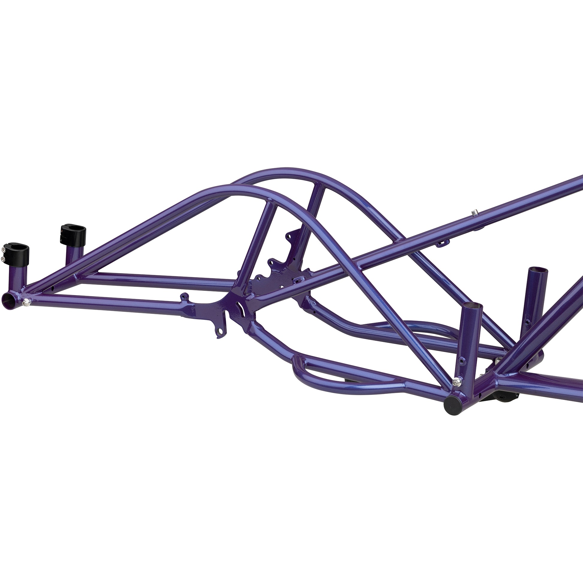 Surly Big Dummy frameset Bruised Ego Purple side rear dropout area focus