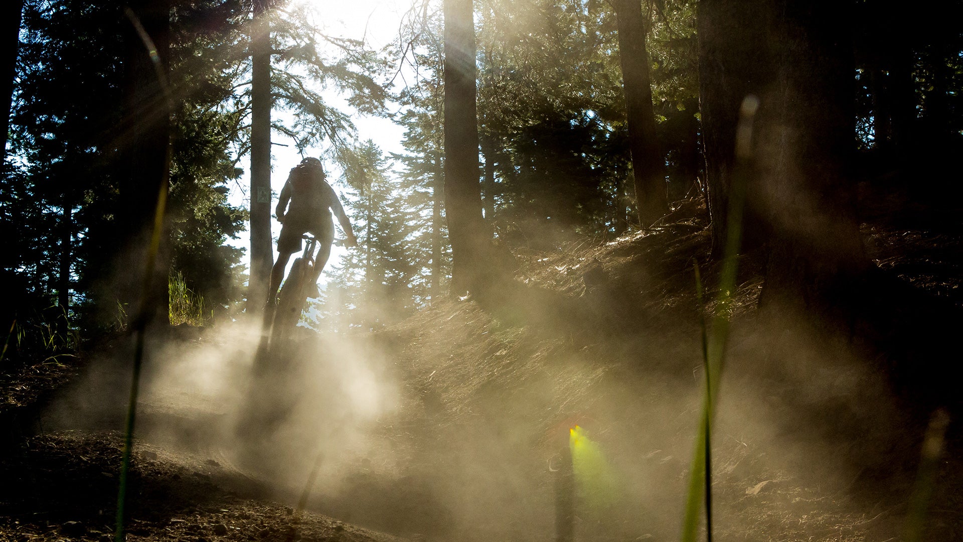 Mountain biker riding dusty trail in forest
