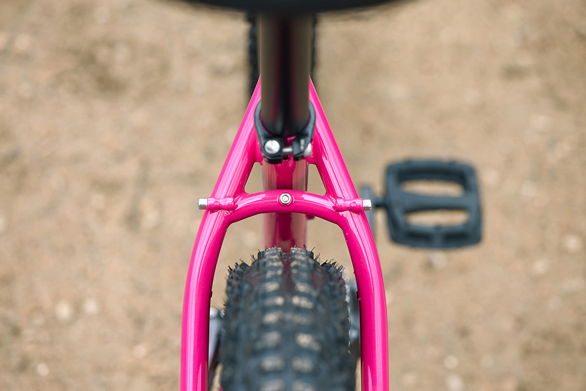 Surly Krampus Bike Prickly Pear color rear tire and frame clearance focus outside